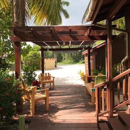 Green Parrot Beach Houses And Resort Placencia Extérieur photo