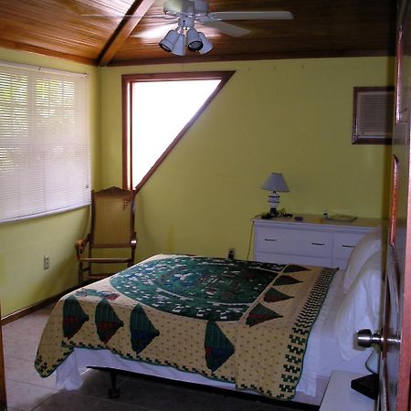 Green Parrot Beach Houses And Resort Placencia Extérieur photo