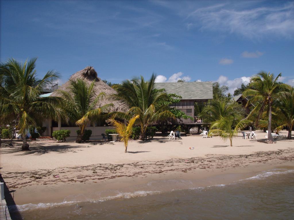 Green Parrot Beach Houses And Resort Placencia Extérieur photo