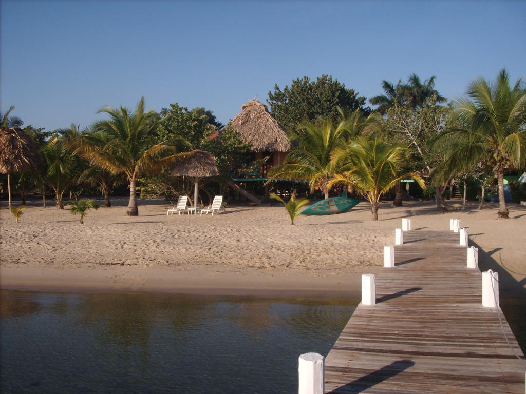 Green Parrot Beach Houses And Resort Placencia Extérieur photo