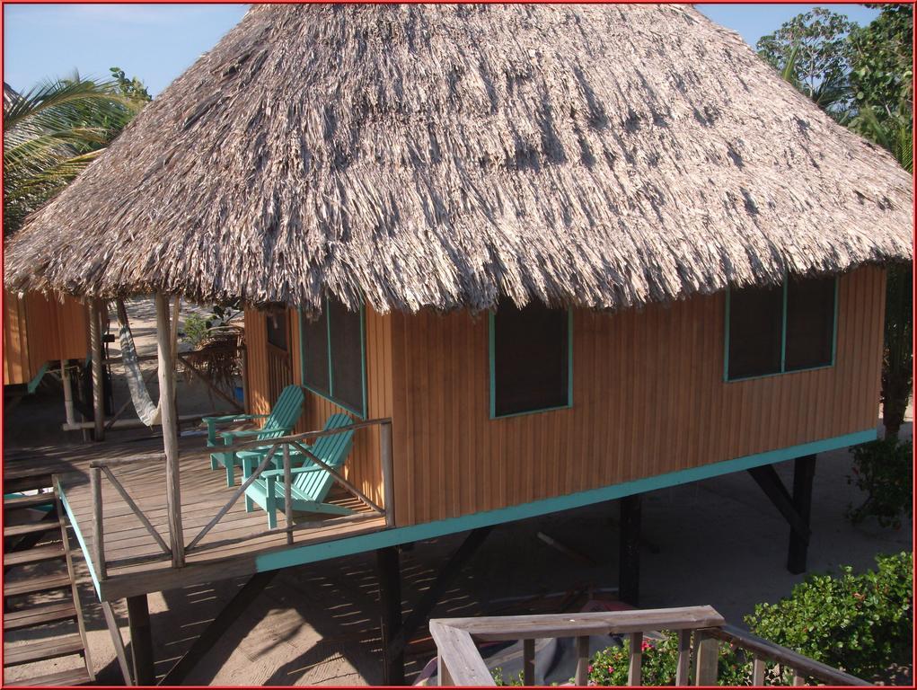 Green Parrot Beach Houses And Resort Placencia Extérieur photo