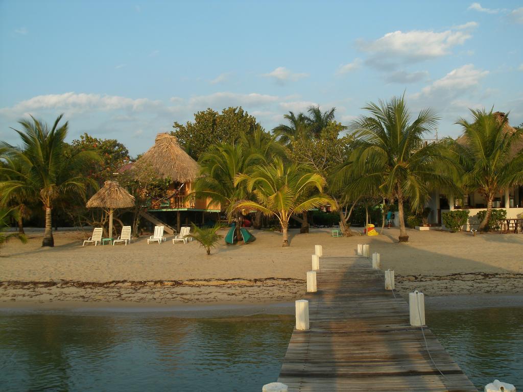 Green Parrot Beach Houses And Resort Placencia Extérieur photo