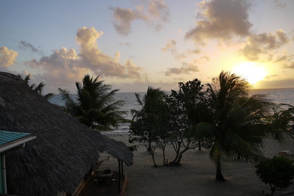 Green Parrot Beach Houses And Resort Placencia Extérieur photo