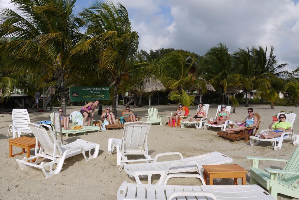 Green Parrot Beach Houses And Resort Placencia Extérieur photo