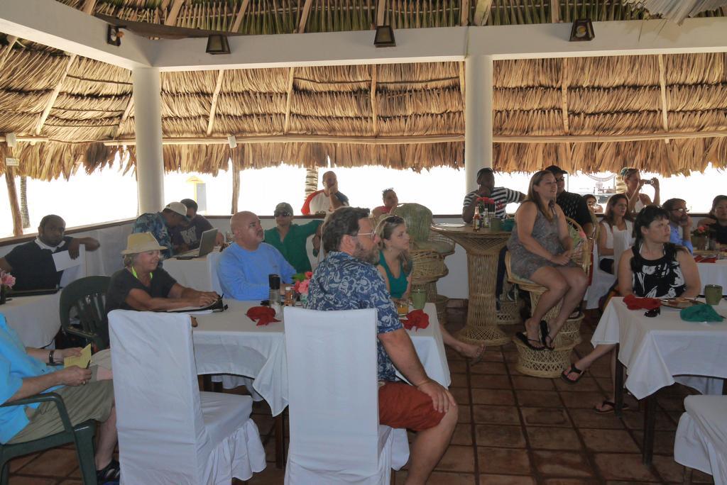 Green Parrot Beach Houses And Resort Placencia Extérieur photo