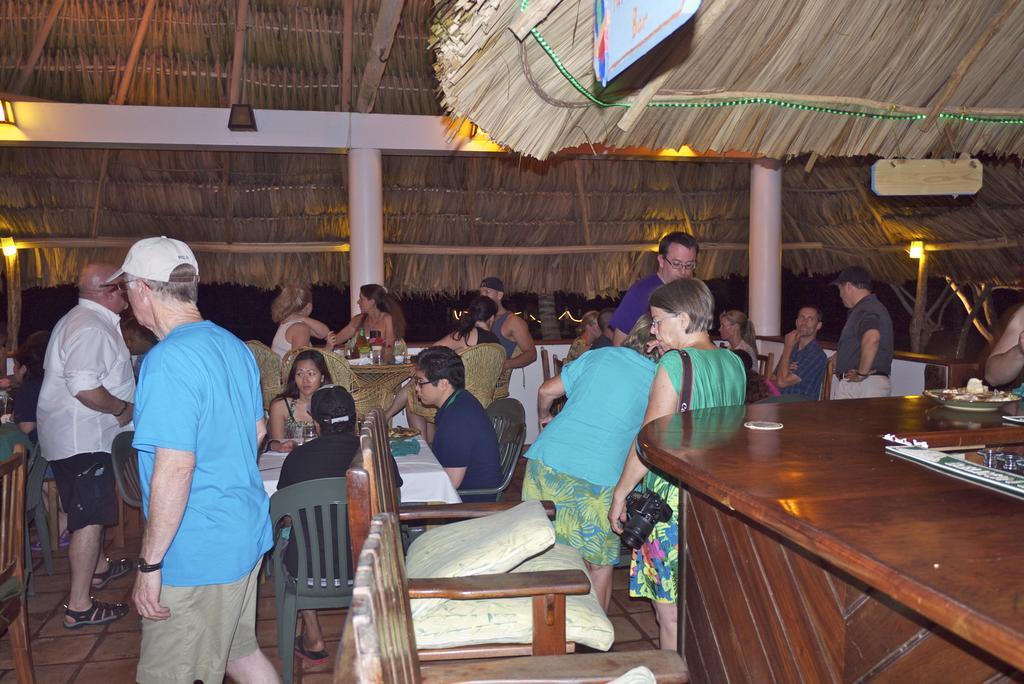 Green Parrot Beach Houses And Resort Placencia Extérieur photo