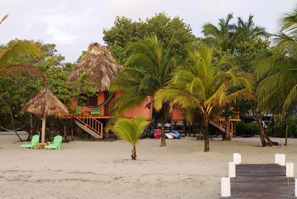 Green Parrot Beach Houses And Resort Placencia Extérieur photo