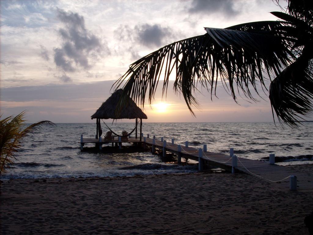 Green Parrot Beach Houses And Resort Placencia Extérieur photo