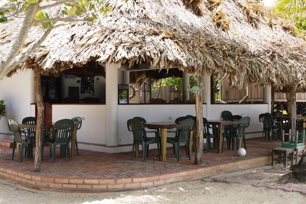 Green Parrot Beach Houses And Resort Placencia Extérieur photo