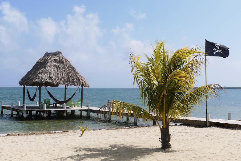 Green Parrot Beach Houses And Resort Placencia Extérieur photo
