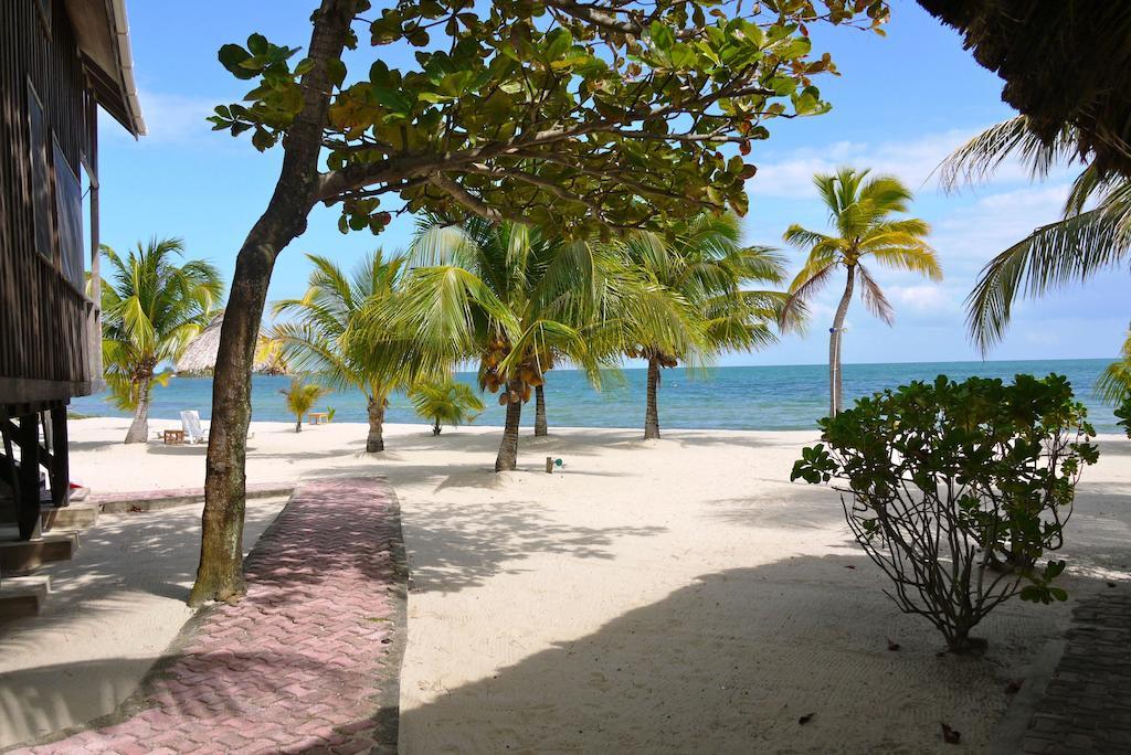 Green Parrot Beach Houses And Resort Placencia Extérieur photo