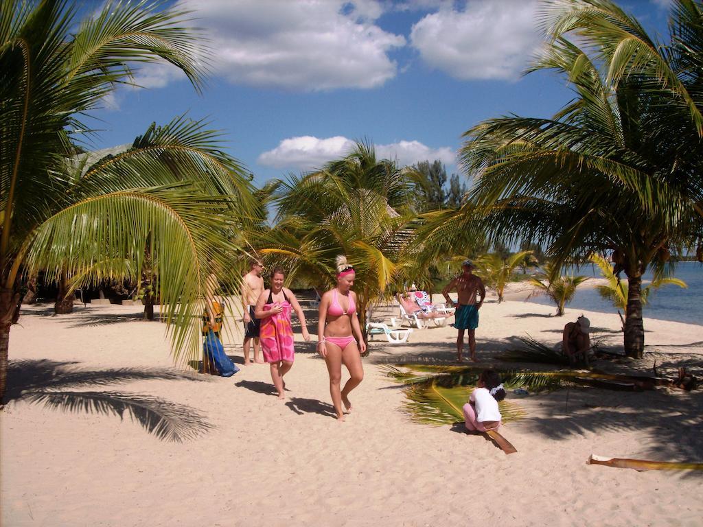 Green Parrot Beach Houses And Resort Placencia Extérieur photo