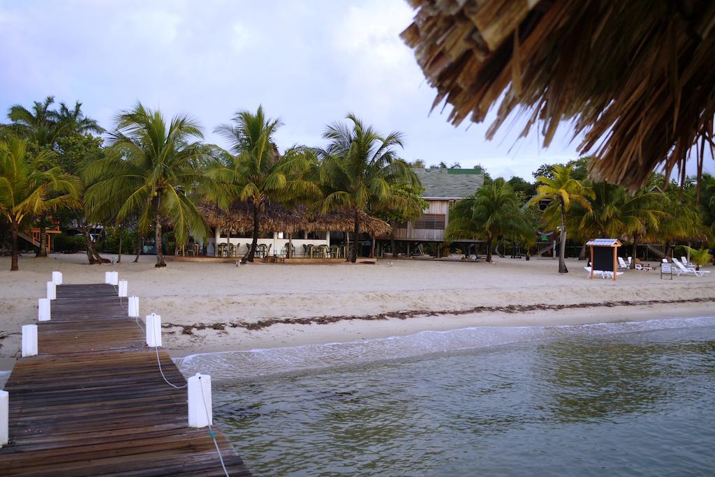 Green Parrot Beach Houses And Resort Placencia Extérieur photo