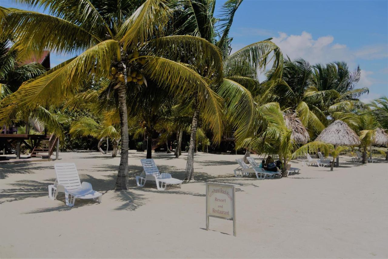 Green Parrot Beach Houses And Resort Placencia Extérieur photo
