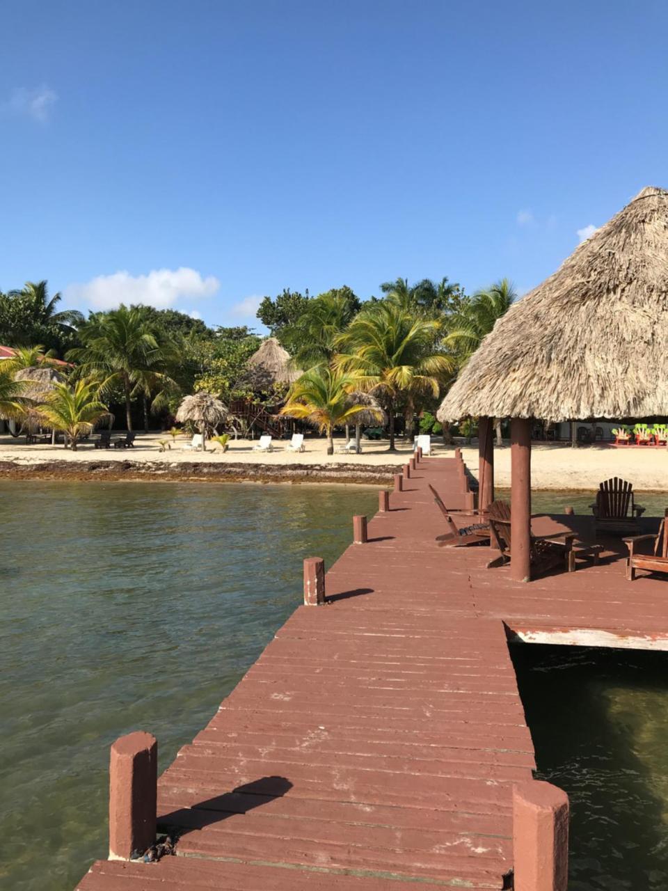 Green Parrot Beach Houses And Resort Placencia Extérieur photo