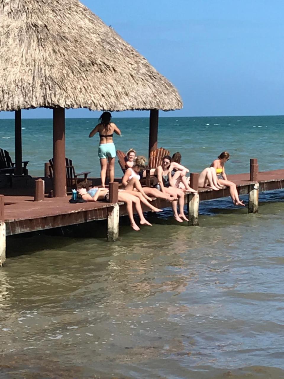 Green Parrot Beach Houses And Resort Placencia Extérieur photo