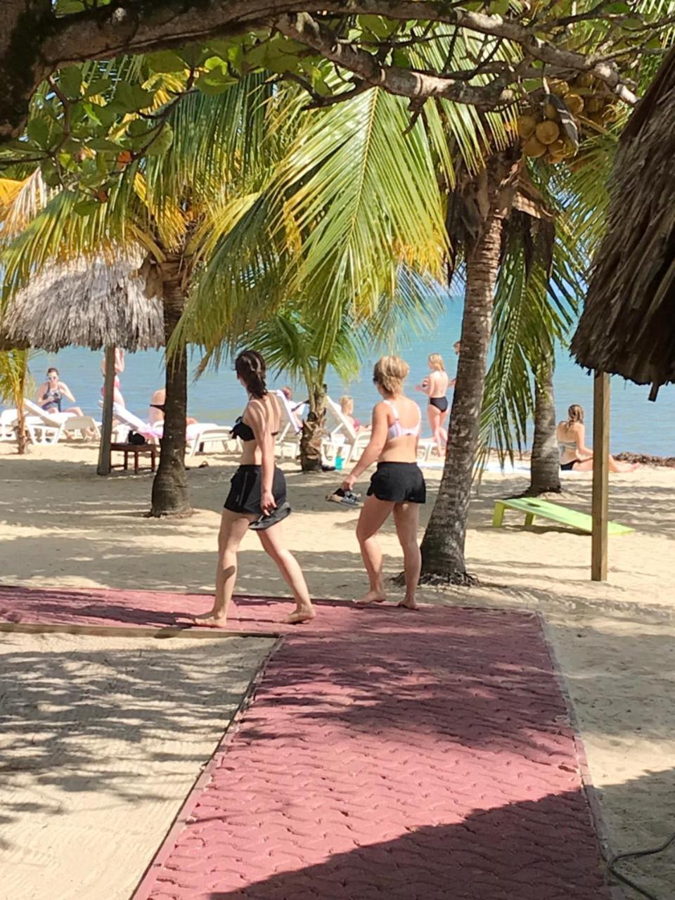 Green Parrot Beach Houses And Resort Placencia Extérieur photo