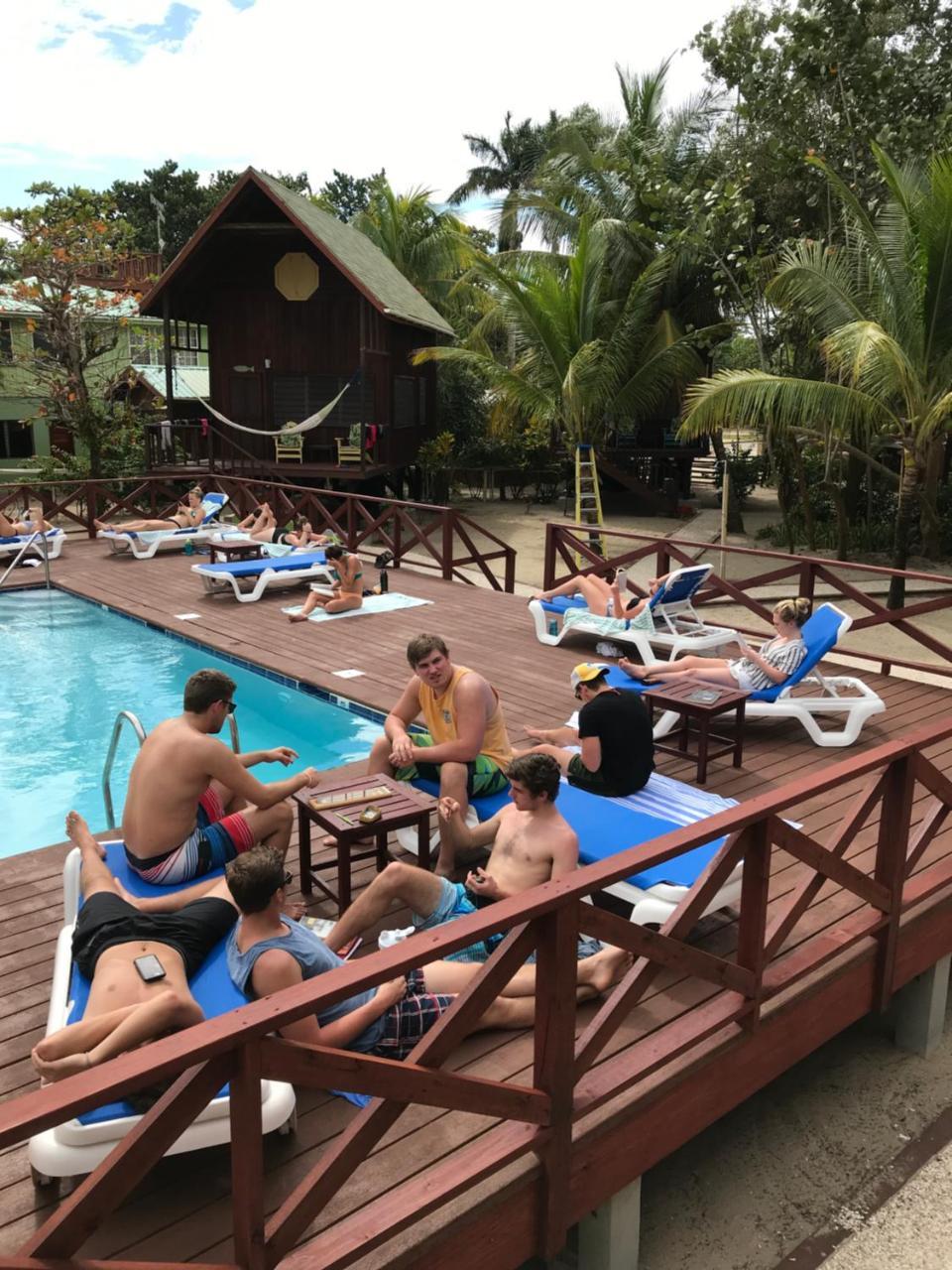Green Parrot Beach Houses And Resort Placencia Extérieur photo