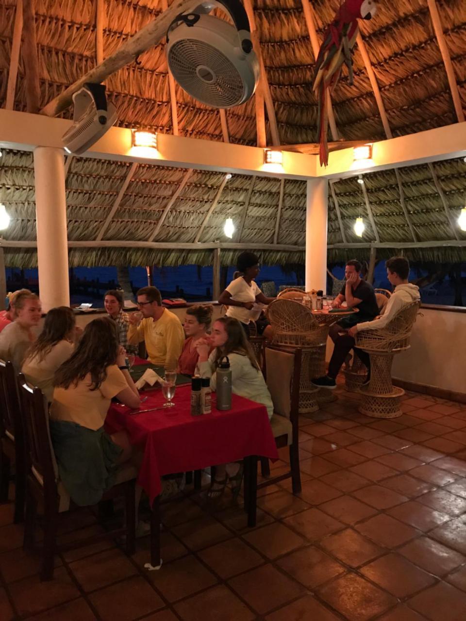 Green Parrot Beach Houses And Resort Placencia Extérieur photo