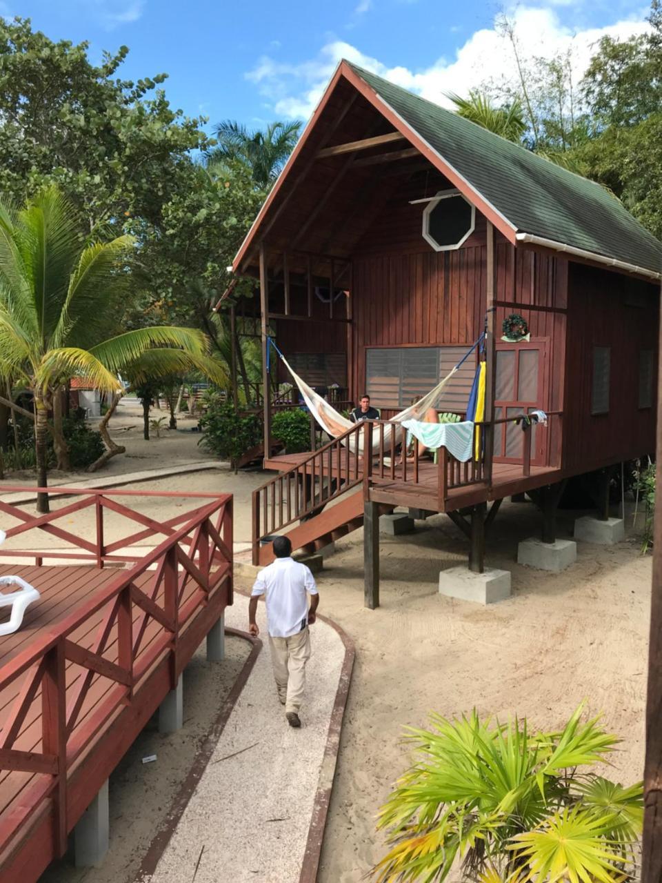 Green Parrot Beach Houses And Resort Placencia Extérieur photo