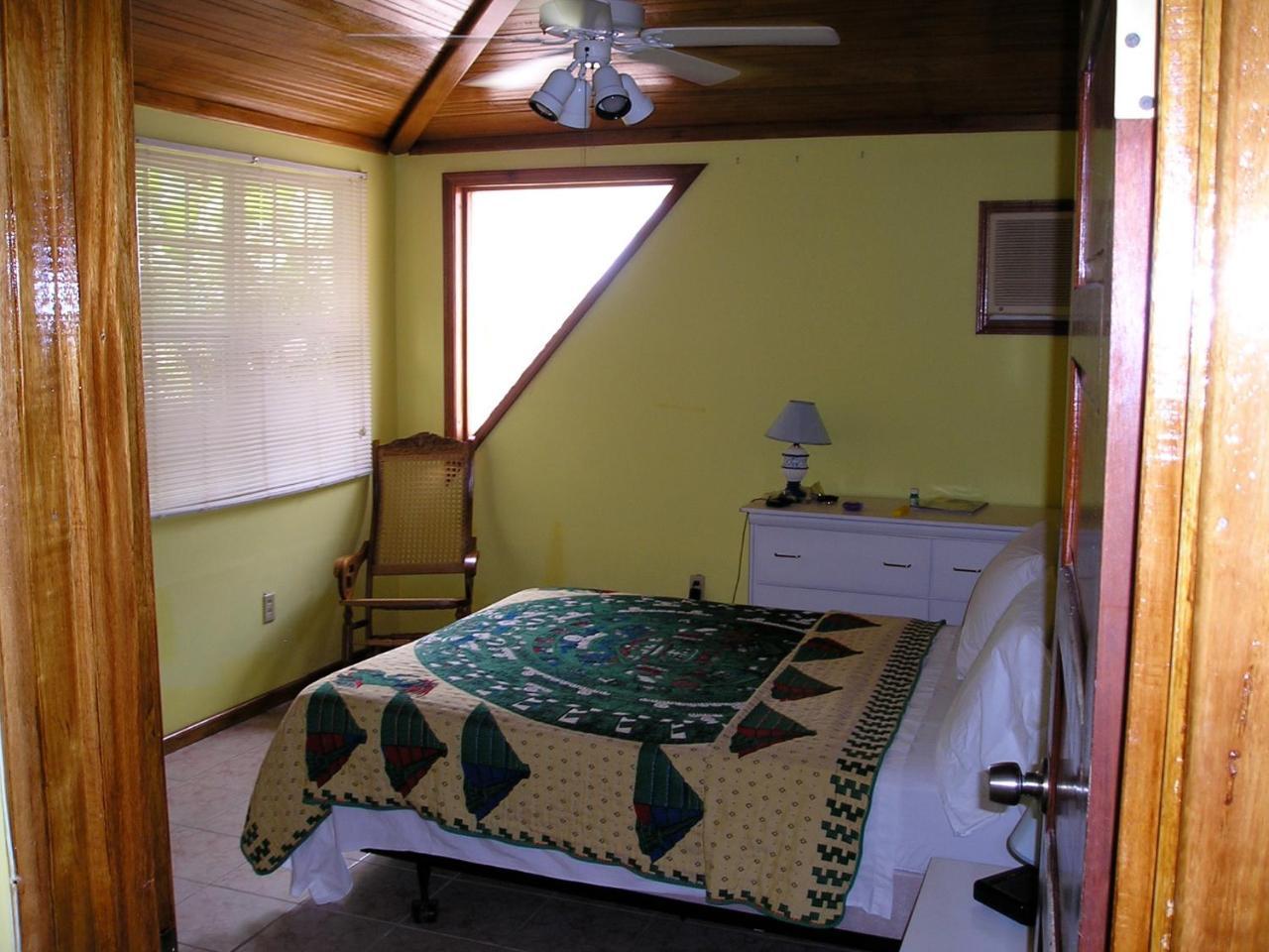 Green Parrot Beach Houses And Resort Placencia Extérieur photo