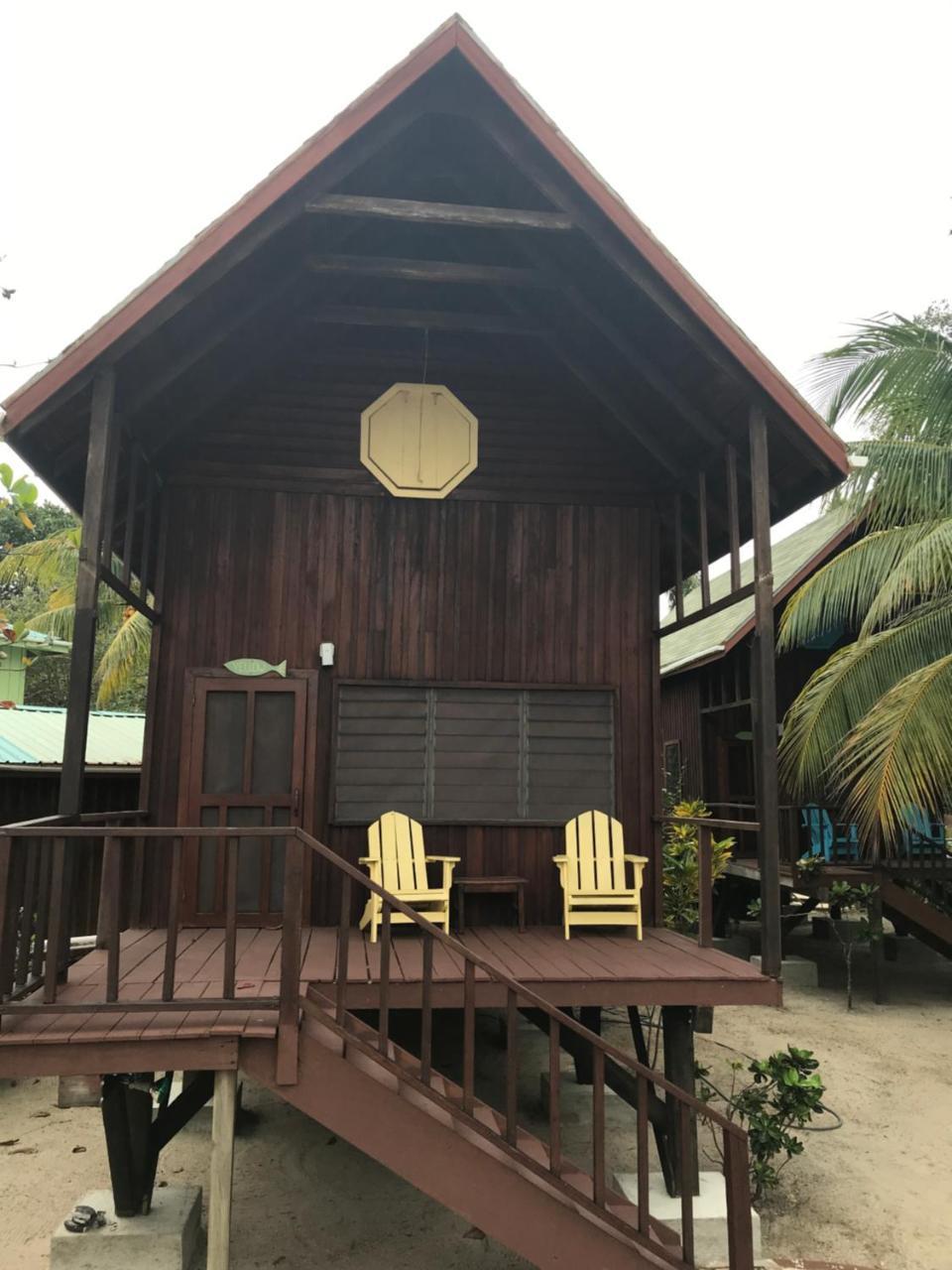 Green Parrot Beach Houses And Resort Placencia Extérieur photo