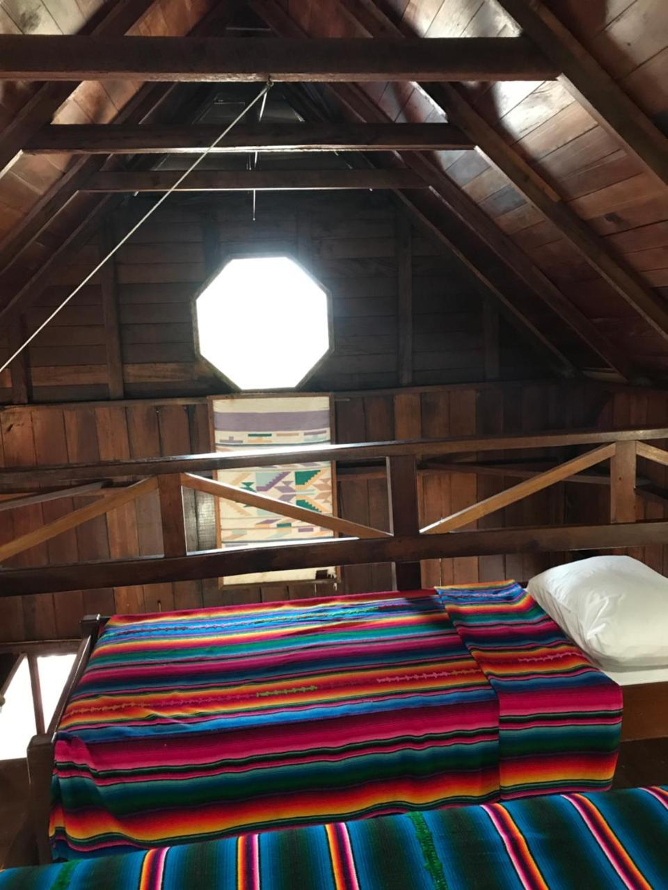 Green Parrot Beach Houses And Resort Placencia Extérieur photo