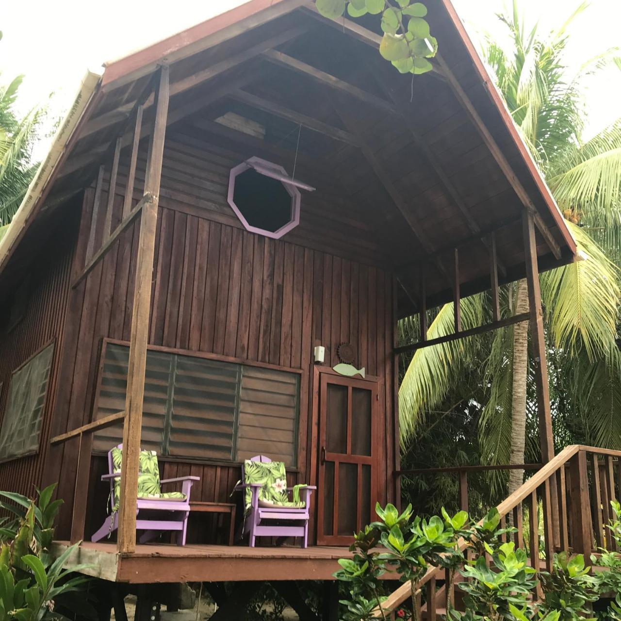 Green Parrot Beach Houses And Resort Placencia Extérieur photo
