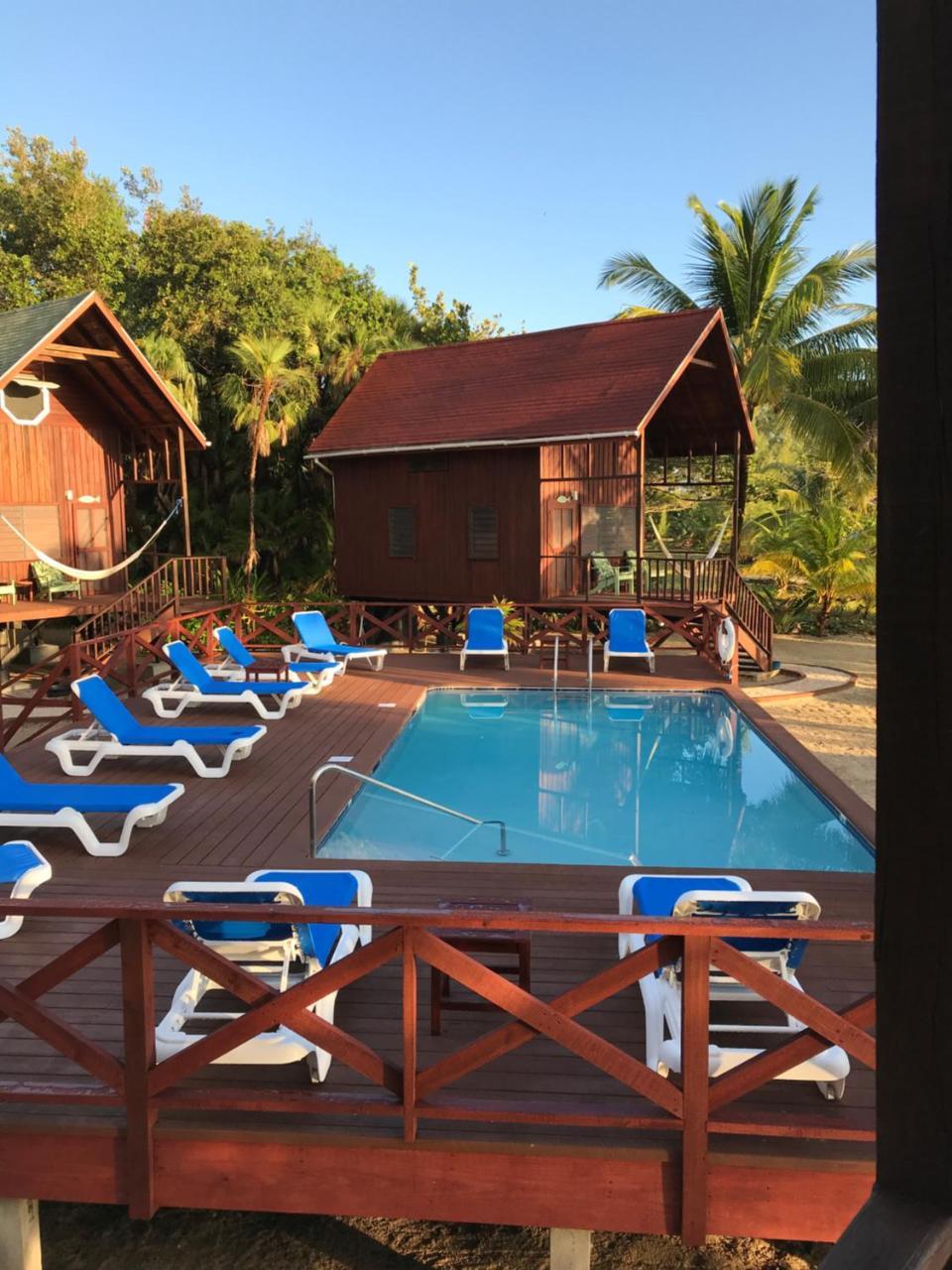 Green Parrot Beach Houses And Resort Placencia Extérieur photo