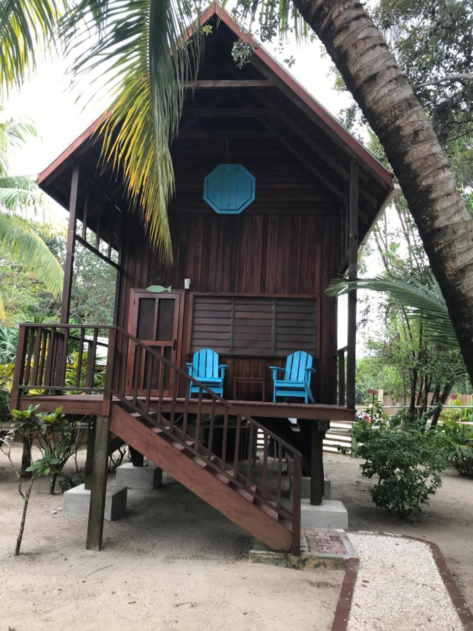 Green Parrot Beach Houses And Resort Placencia Extérieur photo