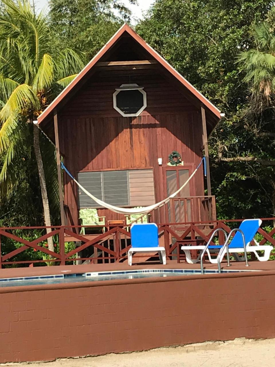 Green Parrot Beach Houses And Resort Placencia Extérieur photo